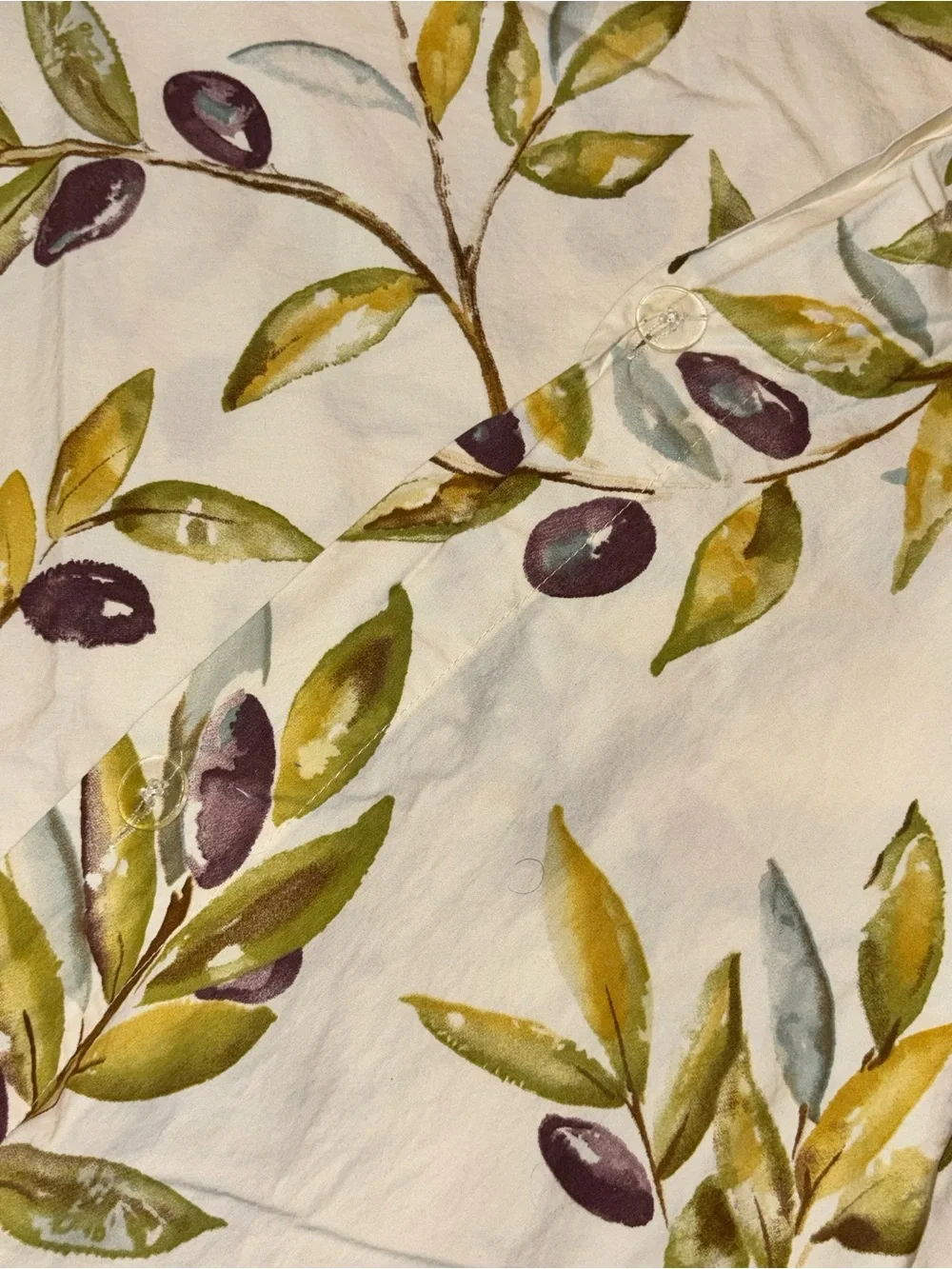 POTTERY BARN ORGANIC COTTON KING DUVET + 2  PILLOW SHAMS  OLIVE BRANCH PRINT